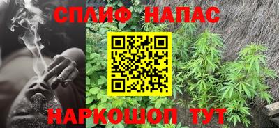 сатива Нальчик