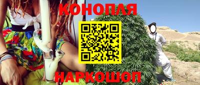 сатива Нальчик