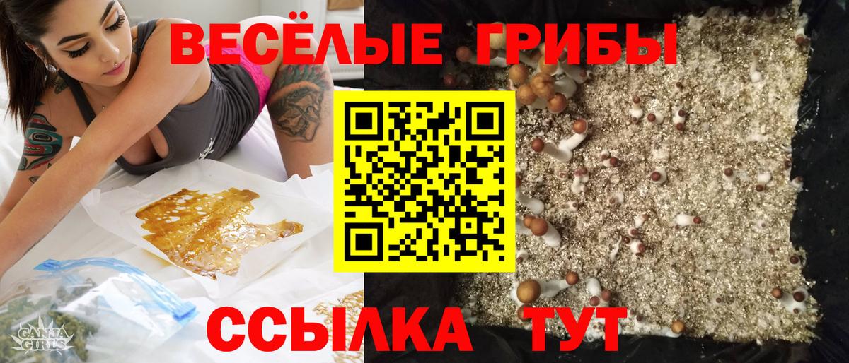 Галлюциногенные грибы GOLDEN TEACHER  Вход с VPN  Туапсе 